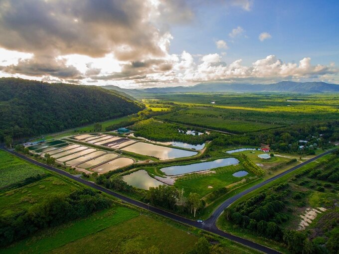 Hook-a-barra Gourmet Farm Tours