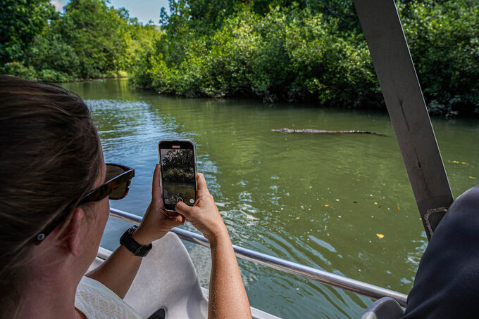 Daintree Discovery Tours | Half Day Afternoon Tour