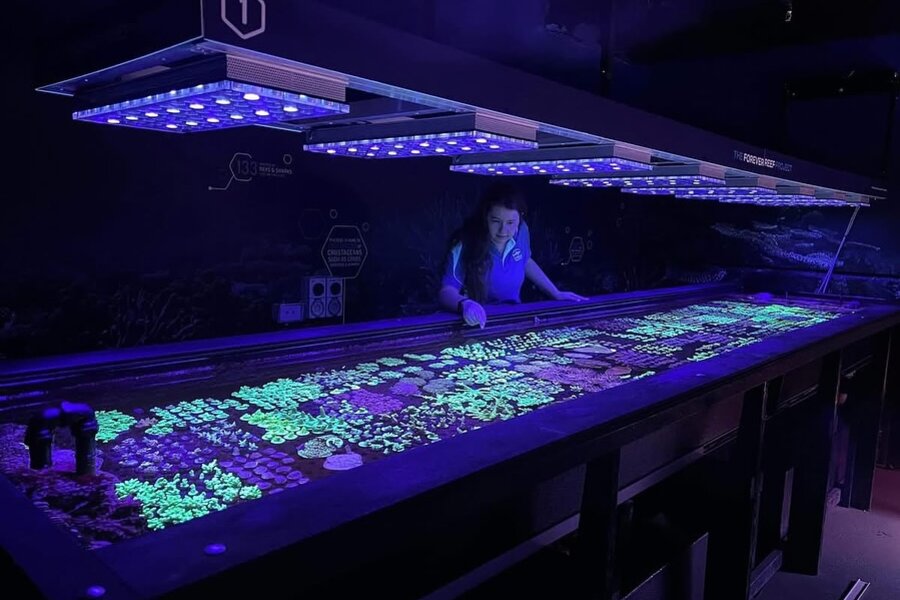 The Forever Reef Project