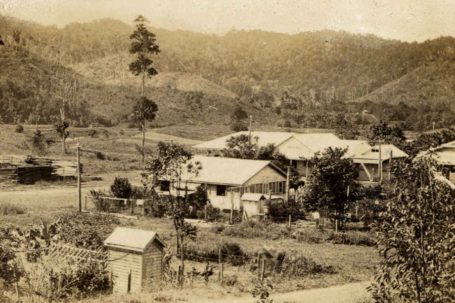 Daintree Village