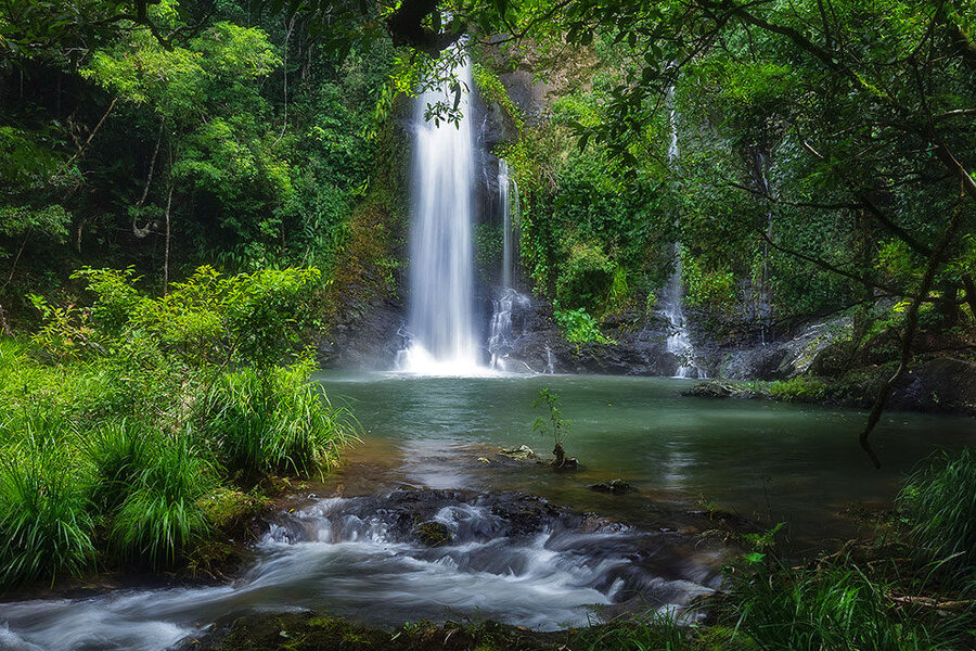 Cassowary Falls Gateway Daintree