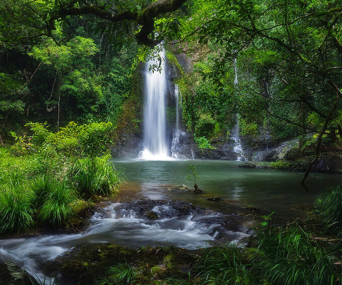 Cassowary Falls Gateway Daintree