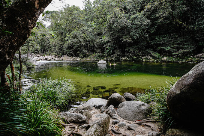 Daintree Discovery Tours | Half Day Morning Tour