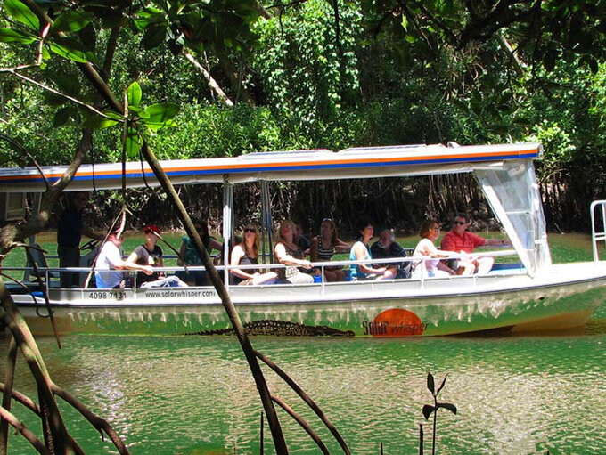 Solar Whisper Wildlife & Crocodile Cruise