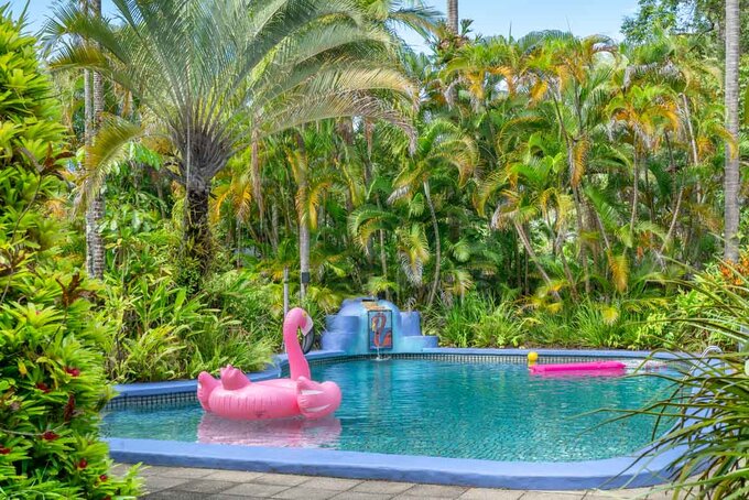 Pink Flamingo Resort