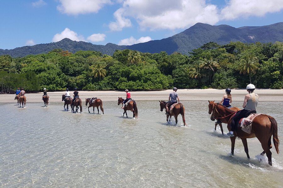 Cape Trib Horse Rides