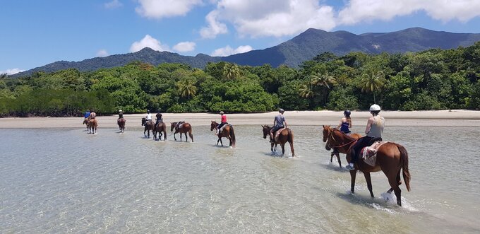 Cape Trib Horse Rides
