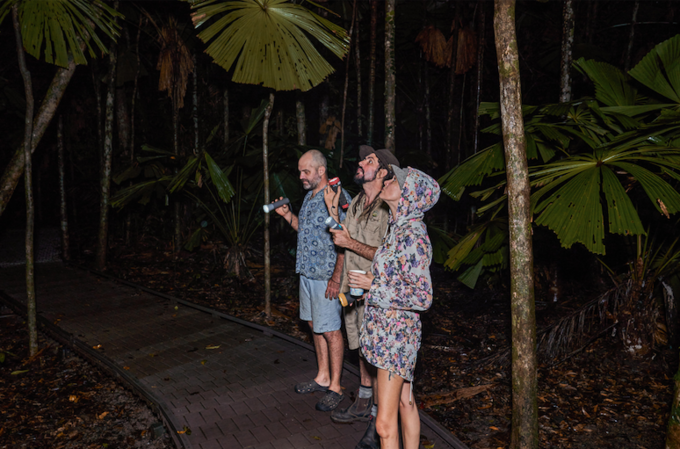 Daintree-Night-Walk