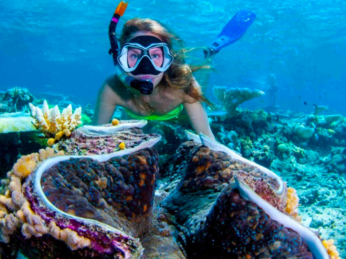 ABC Scuba & Dive Port Douglas - Snorkel Tour