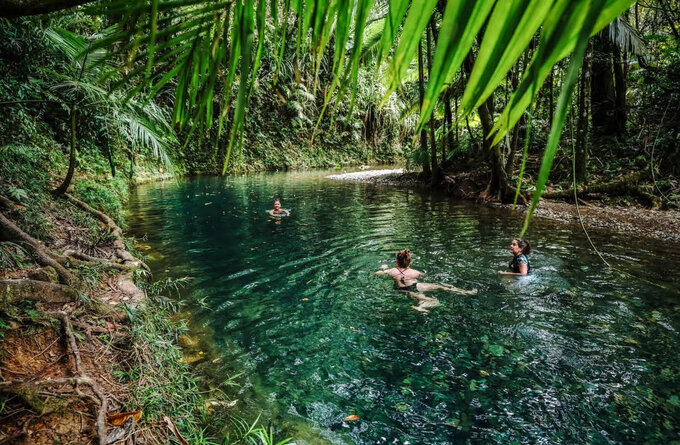 Daintree Discovery Tours | Total Daintree Experience