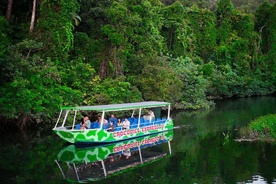 Daintree Discovery Tours River Cruise