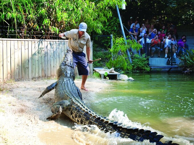 Hartleys Crocodile Adventures - 