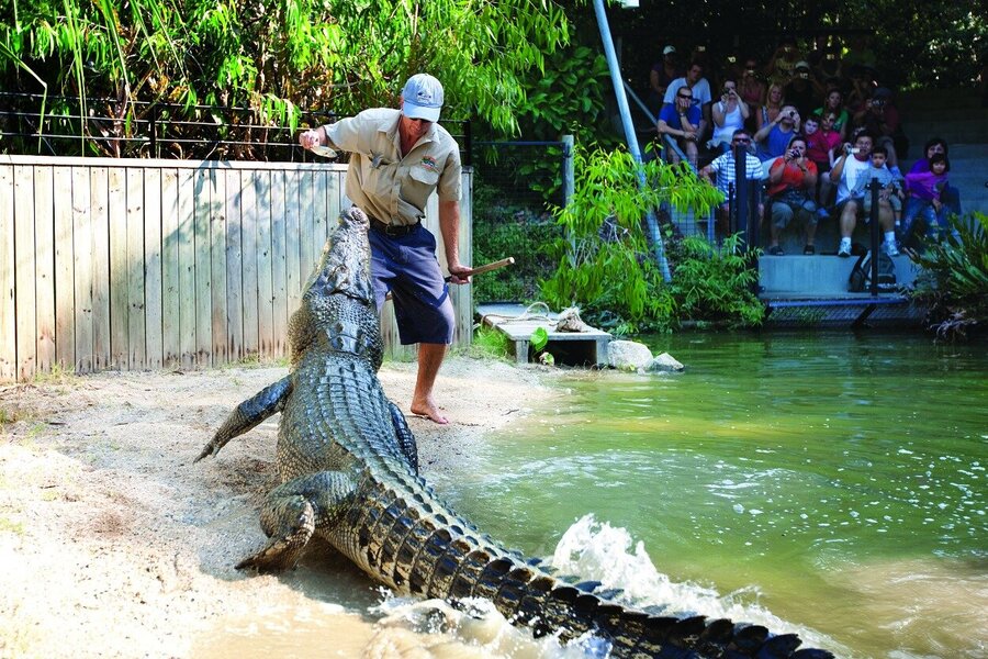 Hartleys Crocodile Adventures - 