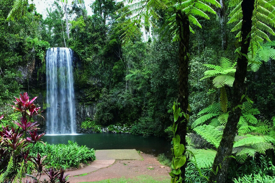 Millaa Millaa Falls