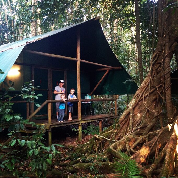 Daintree Crocodylus Accommodation