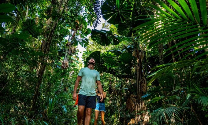 Daintree Tours | Daintree Rainforest Day Tour
