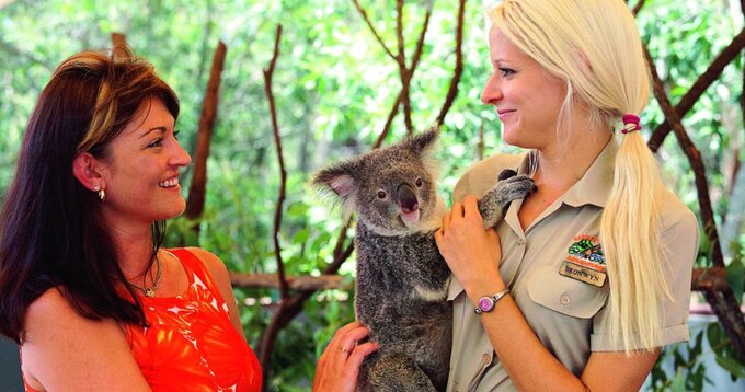 Hartley's Breakfast with the Koala's