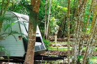 Daintree Rainforest Village | Powered & unpowered camping