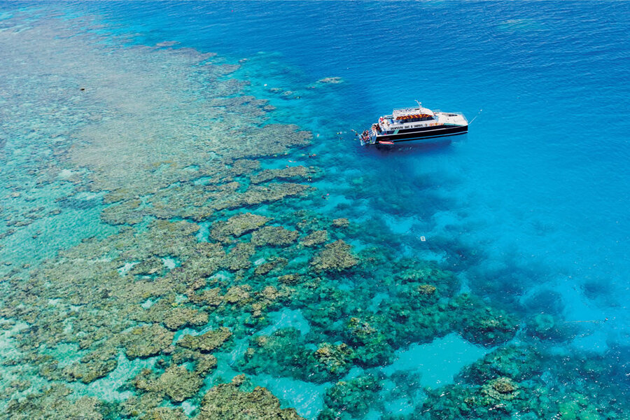Frequently asked questions about the Great Barrier Reef