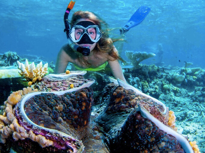 ABC Scuba & Dive Port Douglas - Snorkel Tour