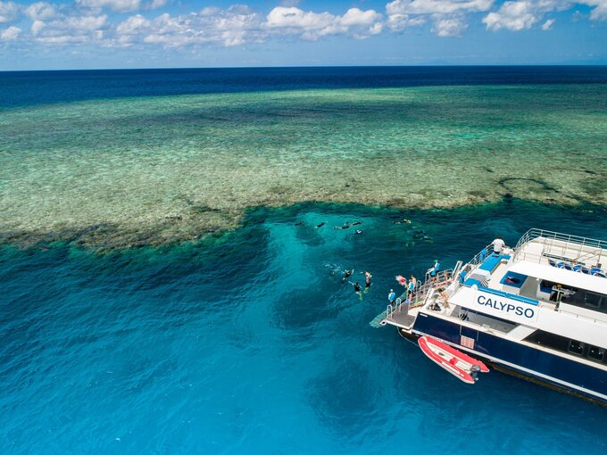 Calypso Reef Charters Snorkelling