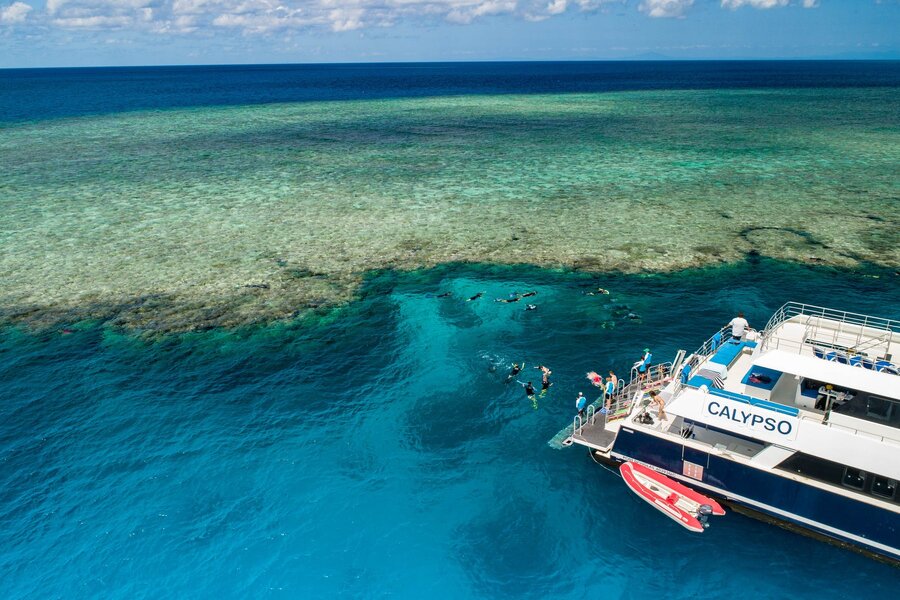 Calypso Reef Charters Snorkelling