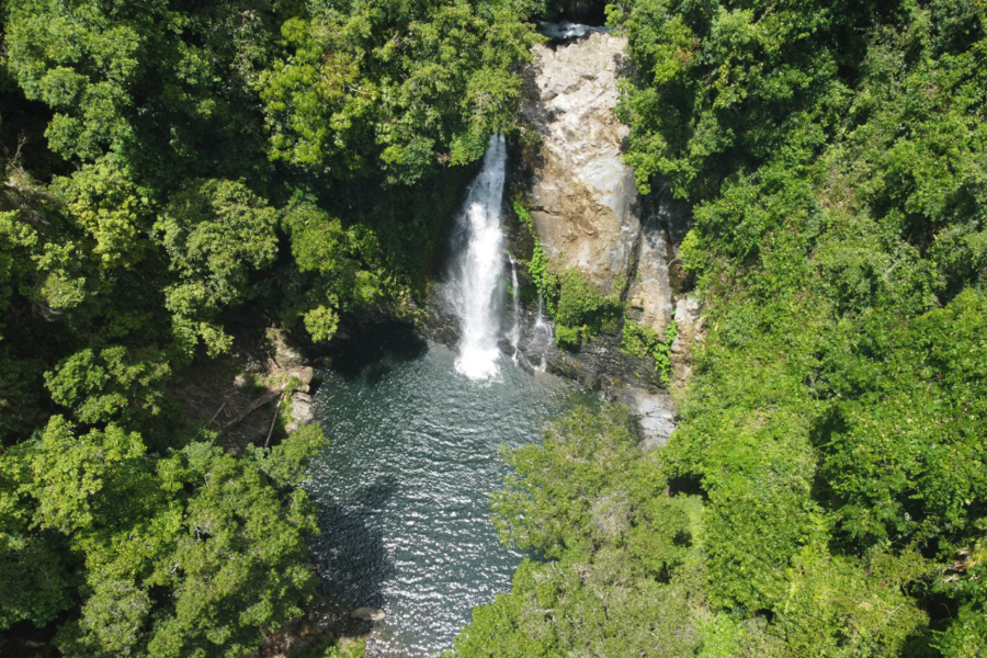 Cassowary Falls