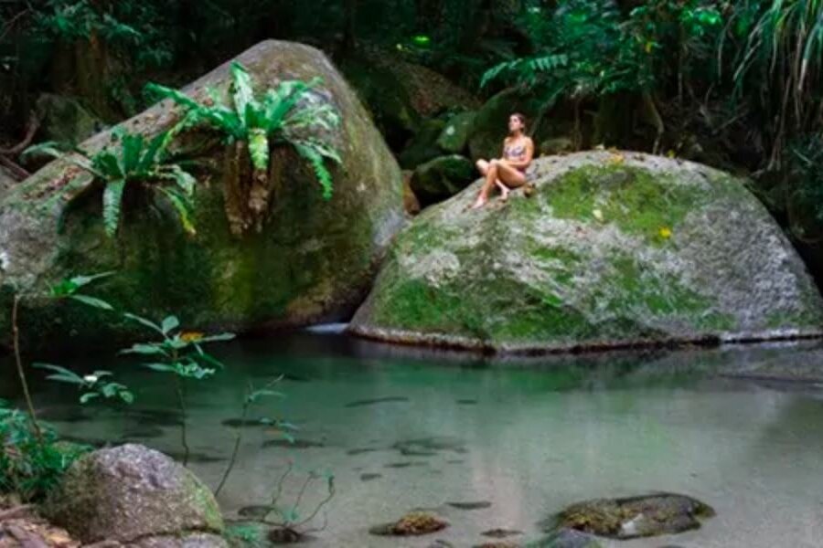 Back Country Bliss Adventures - Daintree