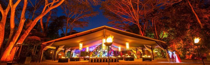 FlamesFlames of the Forest Dining Indigenous ExperienceFlames of the Forest Dining Indigenous Experience of the Forest Wedding Venue