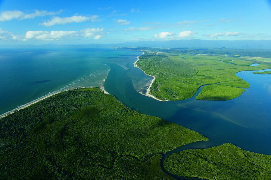 Daintree rainforestDaintree rainforest