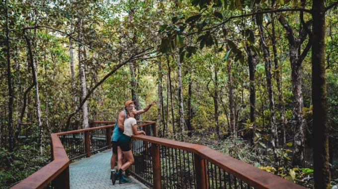 Private-Daintree-Tour