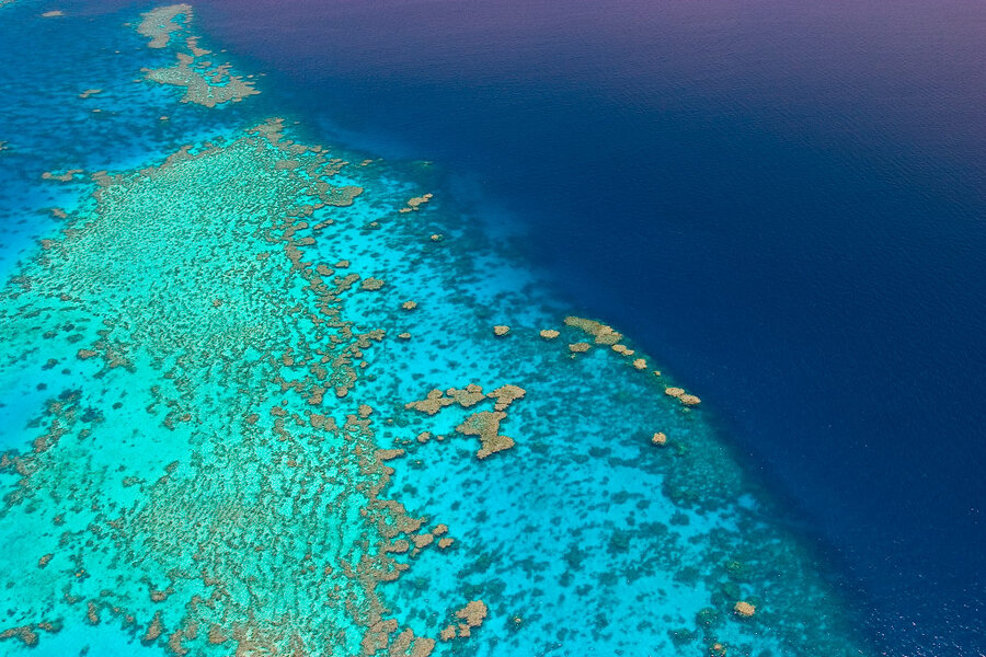The Great Barrier Reef