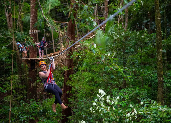 Ultimate Daintree Tour Zipline