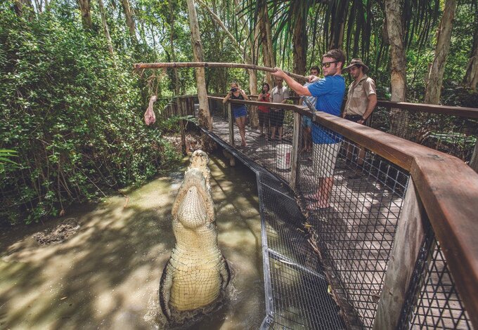 Hartley's Big Croc Feed