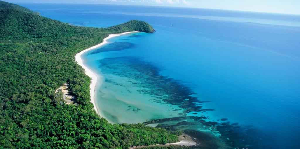 cape tribulation and daintree tour from port douglas