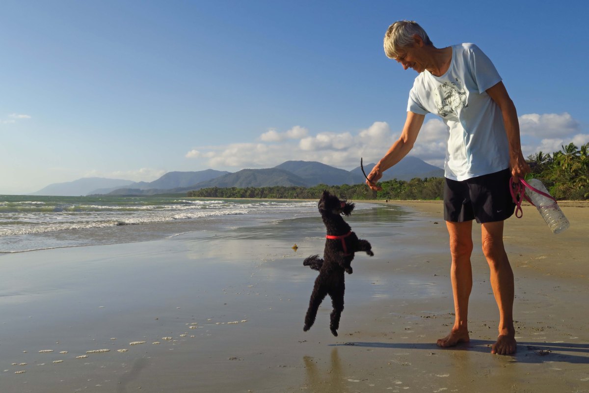 Dog Friendly Port Douglas