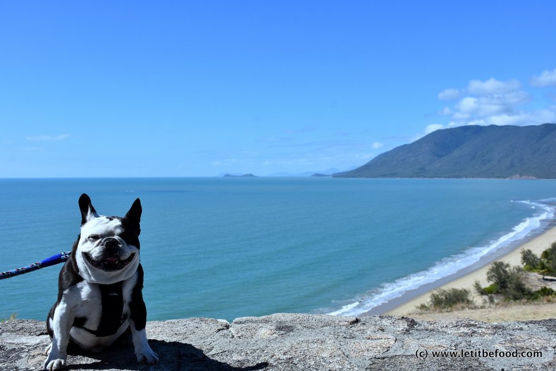 Dog Friendly Port Douglas