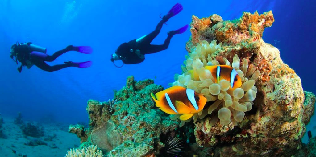 MV Monsoon Port Douglas Diving