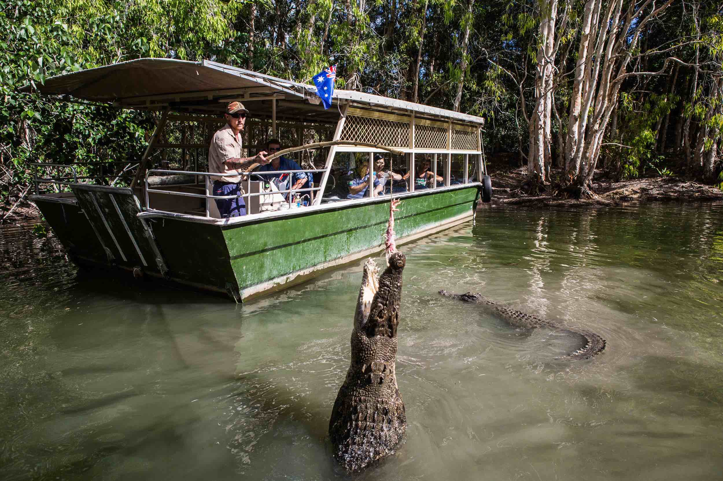 Port Douglas Crocodile Tours and Attractions