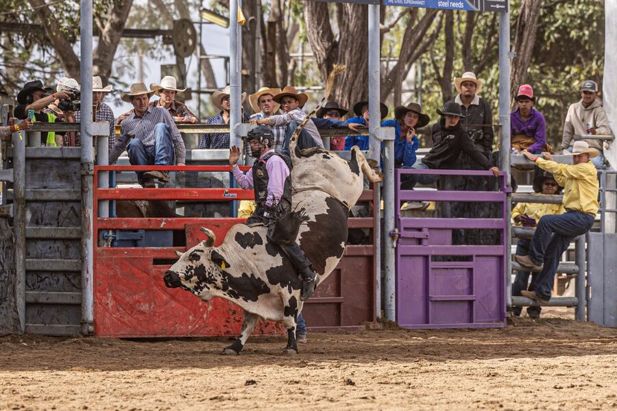 Leith in action bullriding