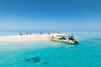 Ocean Safari: Where rainforest touches reef