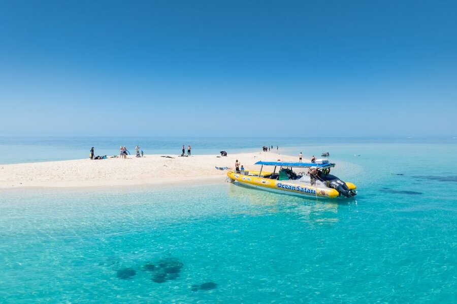 Ocean Safari: Where rainforest touches reef