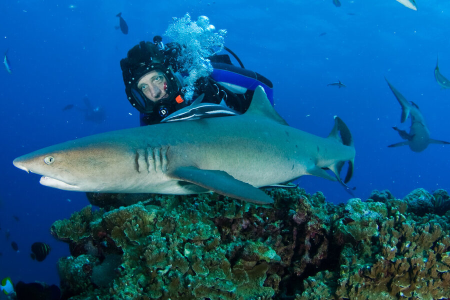 From Port Douglas to Planet Earth