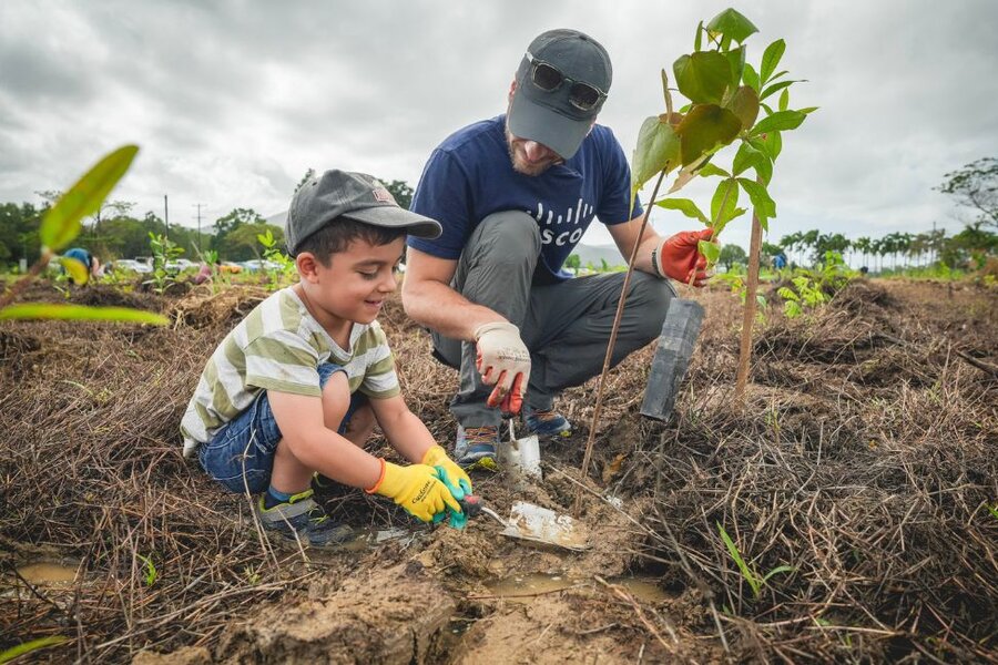 Saving the Rainforest - Trees are the Answer