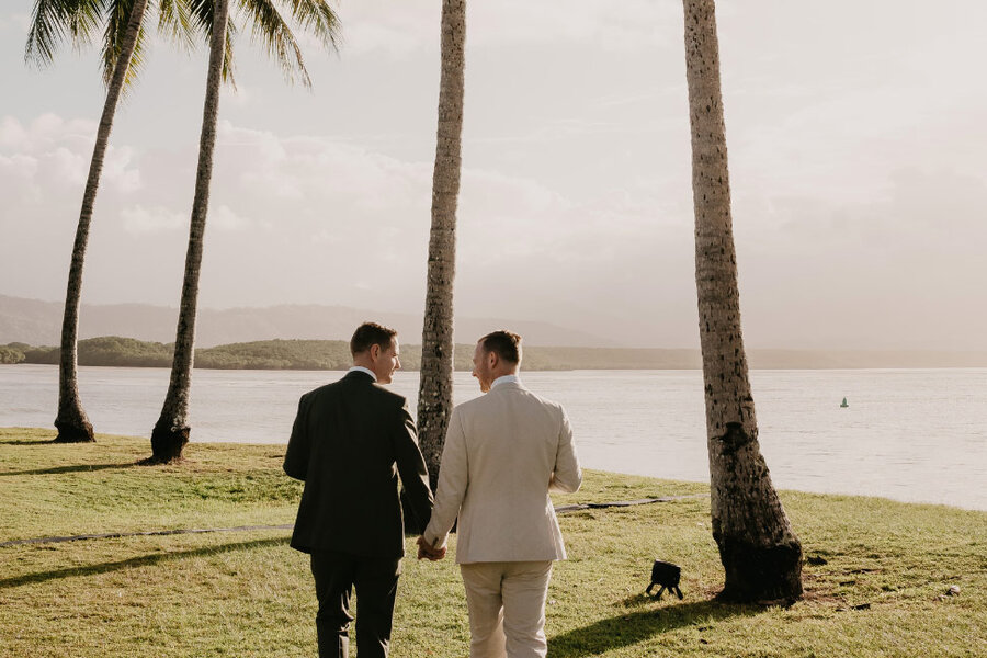 Two men in suits hold hands, walking along a grassy shore lined with palm trees, with calm ocean and distant mountains behind.