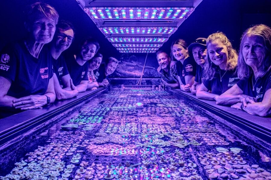 The Forever Reef Project group smiling around a brightly lit aquarium tank filled with colorful coral, under vibrant purple and blue lighting